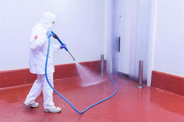 Trusted Elk Rapids, MI Pressure Washing Services Experts